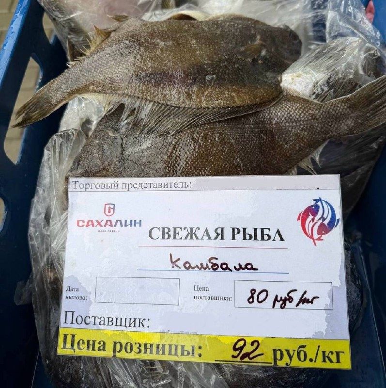 Камбала по скидке: ярмарка на Гвардейской 3 приглашает за покупками!