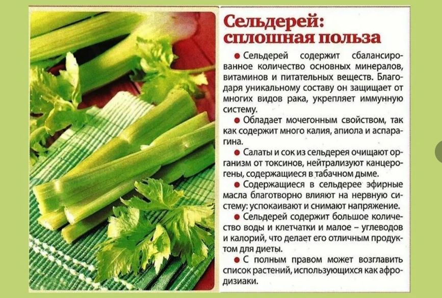 Секреты успешной посадки сельдерея: как вырастить этот супер-овощ без труда