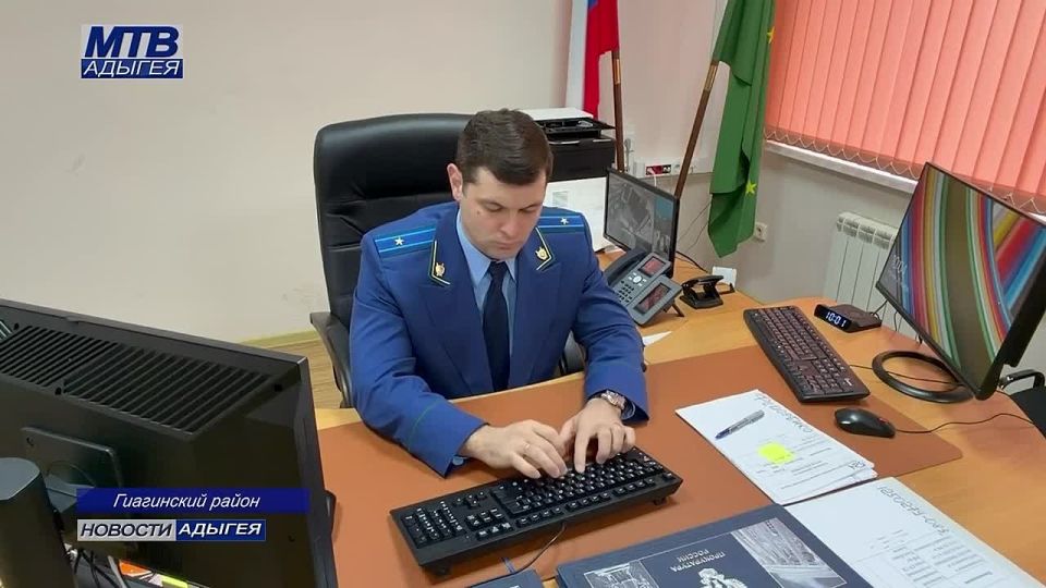 Живодеру из Гиагинского района вынесен приговор