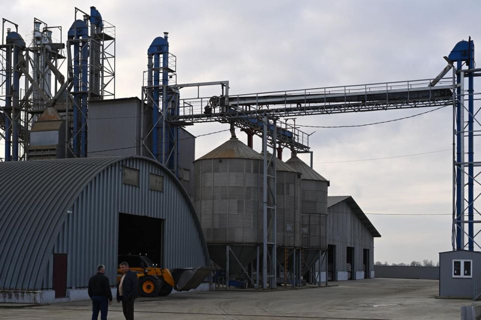 Глава Адыгеи посетил сельхозпредприятие по выращиванию риса