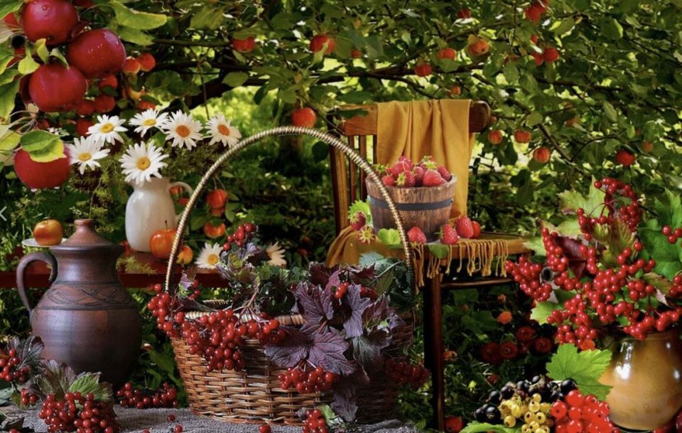 Как создать здоровый сад: секреты гармонии биоразнообразия