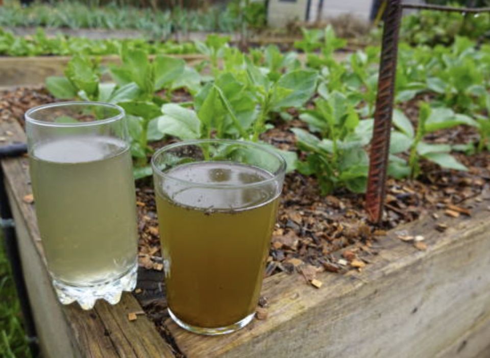 «Зеленые» удобрения: как они работают и как их безопасно использовать?