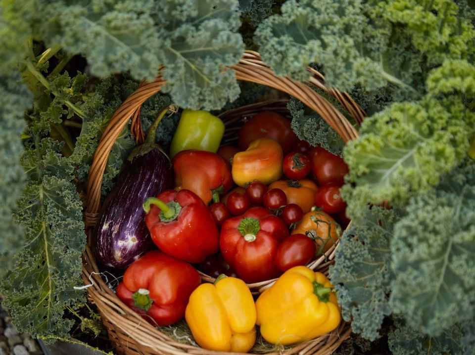 Почему осенью не стоит вносить определенные вещества в почву