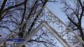 Сказка начинается: в Майкопе устанавливают декоративные конструкции и собирают главную ёлку, высотой с девятиэтажный дом