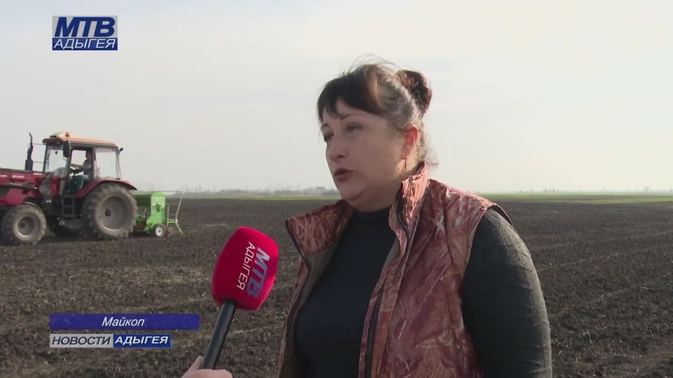 Научно-исследовательский институт сельского хозяйства МГТУ завершил сев озимой пшеницы и тритикале