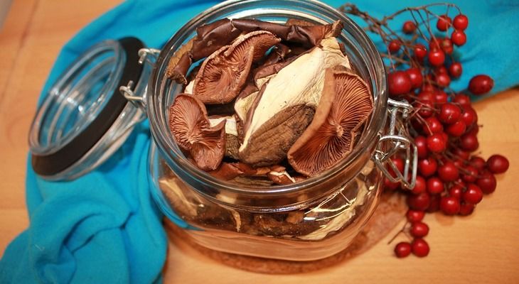 Где хранить сушеные грибы, чтобы они не испортились: не каждая хозяйка знает