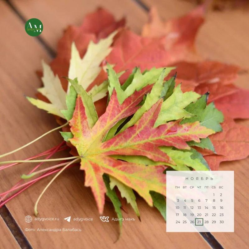 Доброе утро!. 27 ноября в Адыгее ожидается солнечная погода