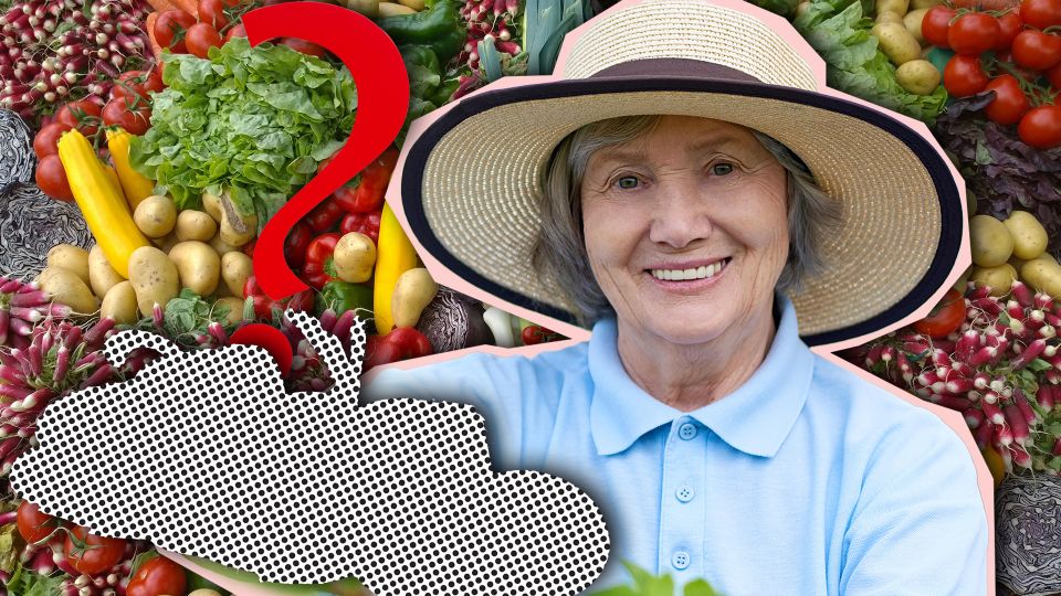 Вырастут и без яркого солнца: только эти овощи смело сажайте в полутень на участке