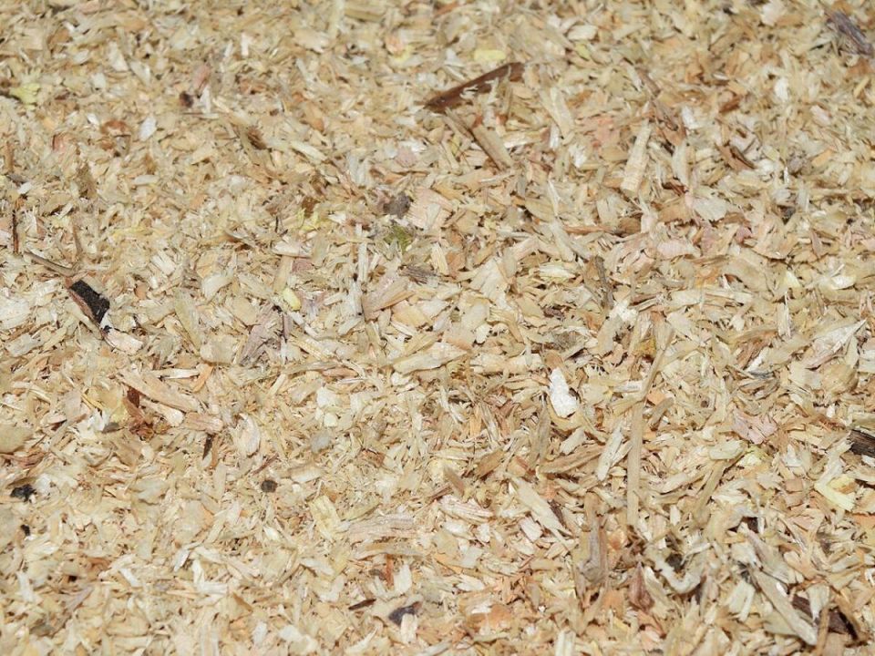 Опилки: секреты успешного мульчирования для дачников