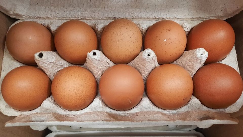 Почему стоит отказаться от яиц категории С0: секреты выбора качественного продукта