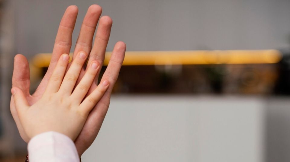 Алименты в России: новая минимальная планка и ее последствия