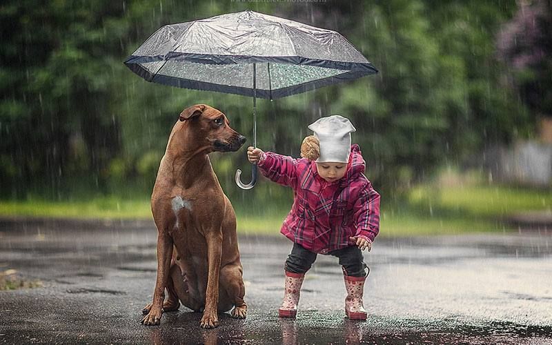 Всемирный день сострадания