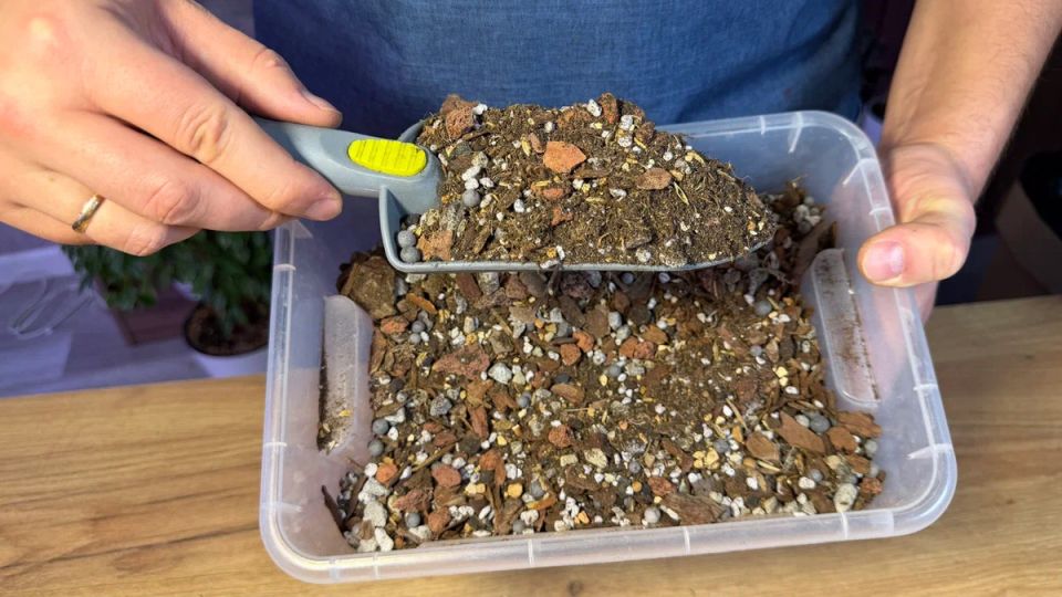 Пять неожиданных добавок в грунт, которые могут навредить вашим комнатным растениям