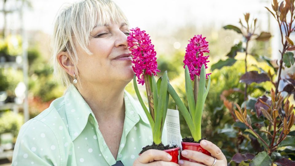 В июле дачникам нельзя расслабляться: вот 3 задачи, которые нужно выполнить поскорее