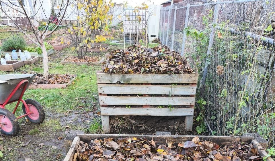 Подготовка дачного участка к зиме: что не забыть сделать в осенние дни