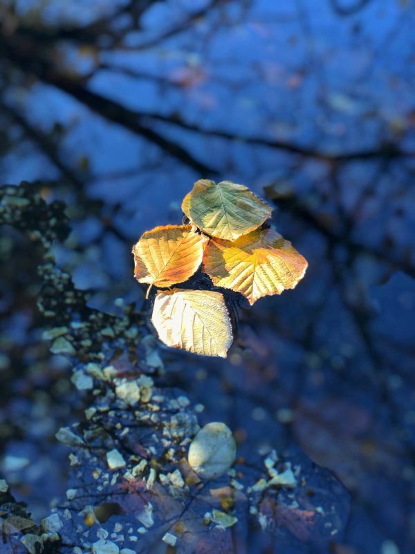 Доброе утро, Адыгея!. Сегодня в республике облачно