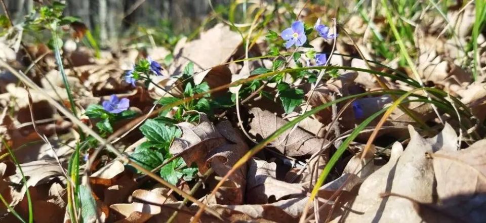 Осень в Адыгее финишировала тёплой погодой