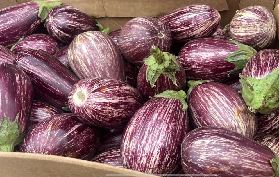 Как избавиться от горечи в грейпфрутах и баклажанах: простые и эффективные советы