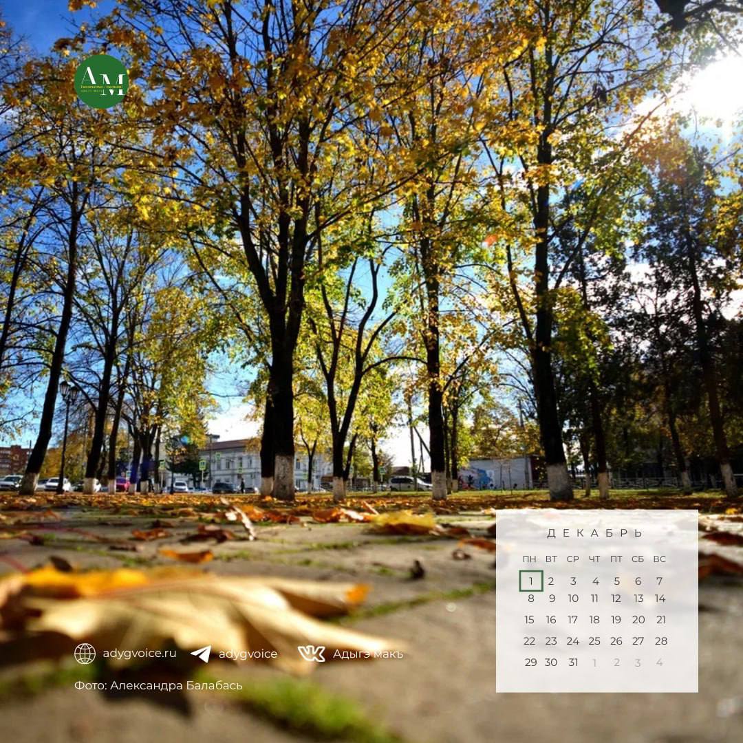 Доброе утро!. 1 декабря в Адыгее местами ожидается дождь