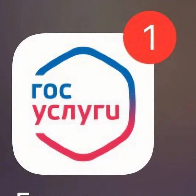 Как узнать о доступных льготах: простые шаги для проверки