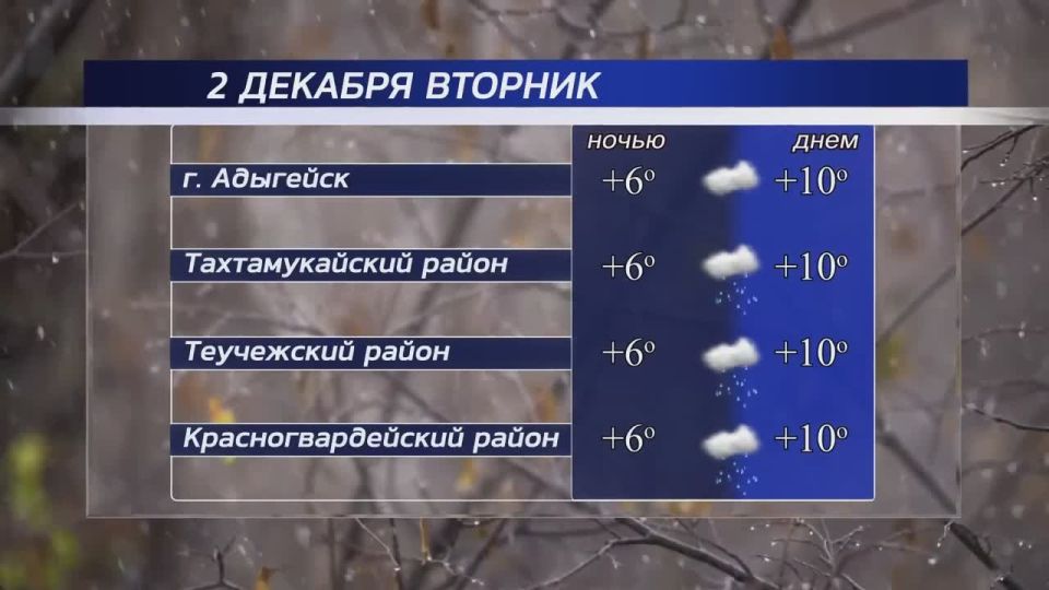 Доброе утро, Адыгея!. Погода в республике сегодня, 2 декабря