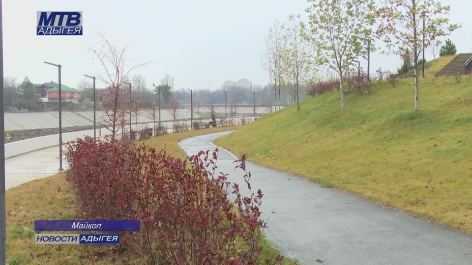 Первый зимний месяц ожидается довольно теплым, при этом возможны резкие перепады температуры и дожди со снегом