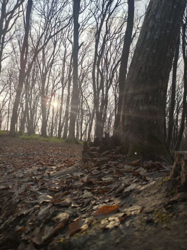 Погода в Майкопе на 2 декабря: