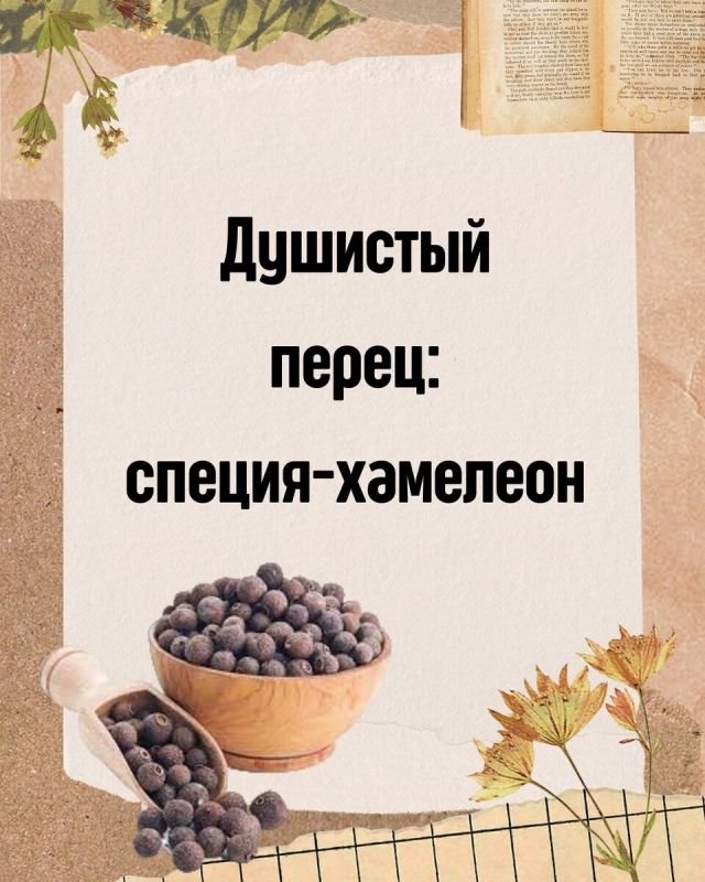 Душистый перец: ароматный деликатес с многогранным вкусом