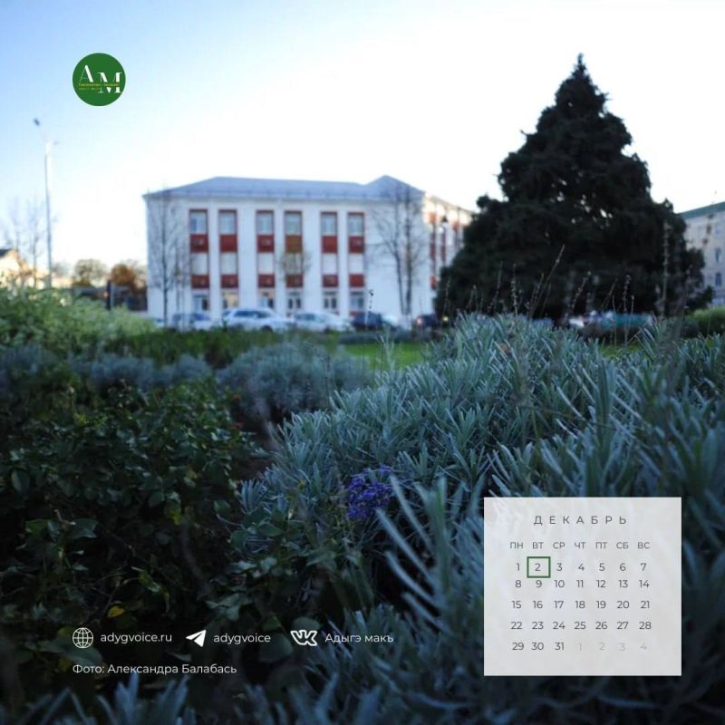 Доброе утро!. 2 декабря в Адыгее ожидается дождь