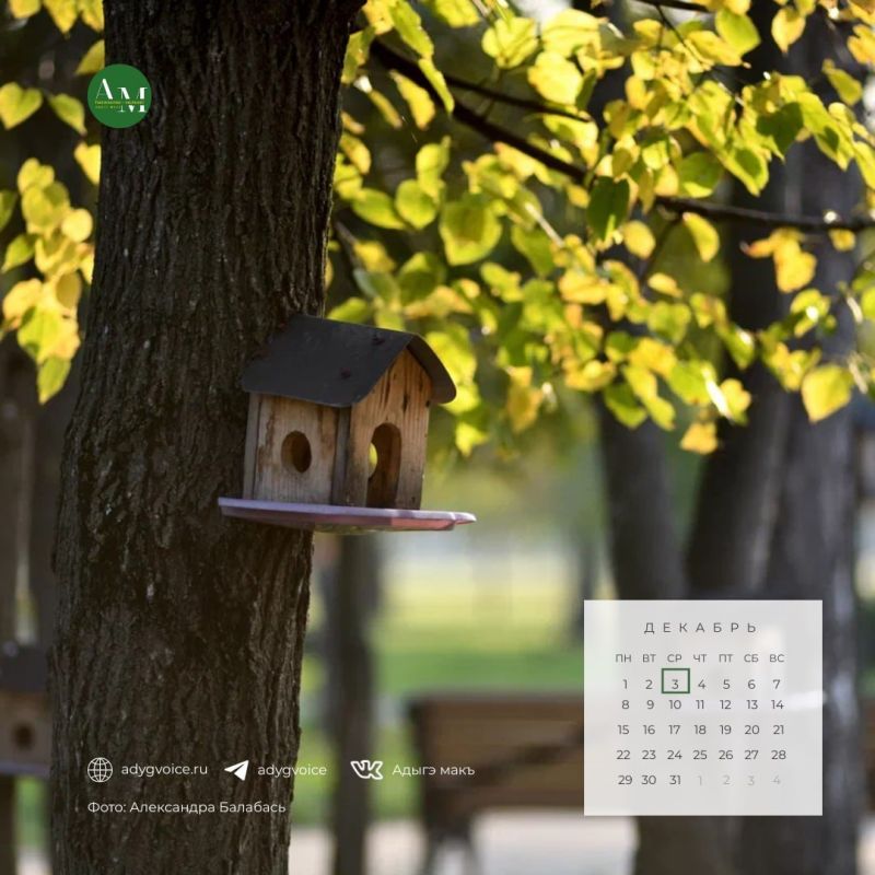 Доброе утро!. 3 декабря в Адыгее ожидается переменная облачность, местами дождь