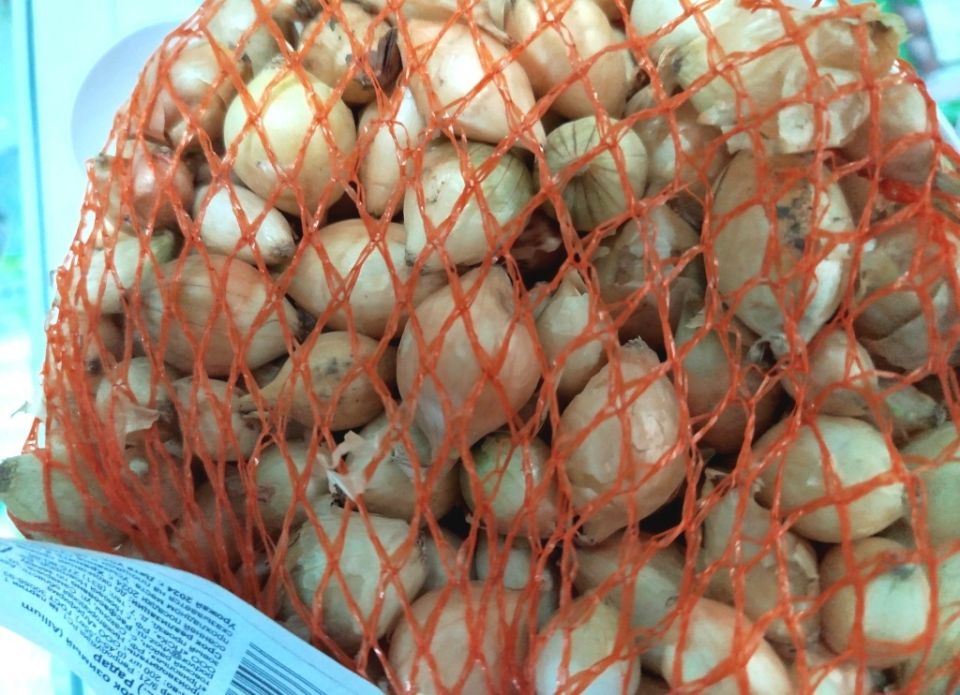 Лук Радар: надежный сорт для вашего огорода