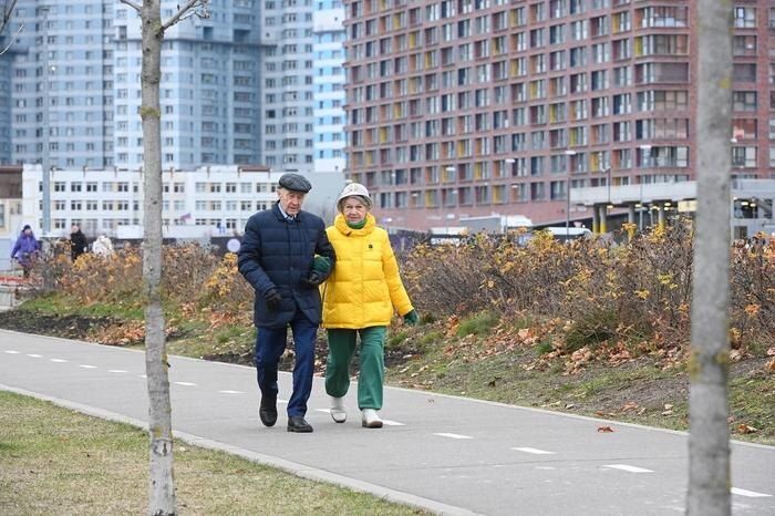 Когда пенсия может оказаться под угрозой: причины приостановки выплат