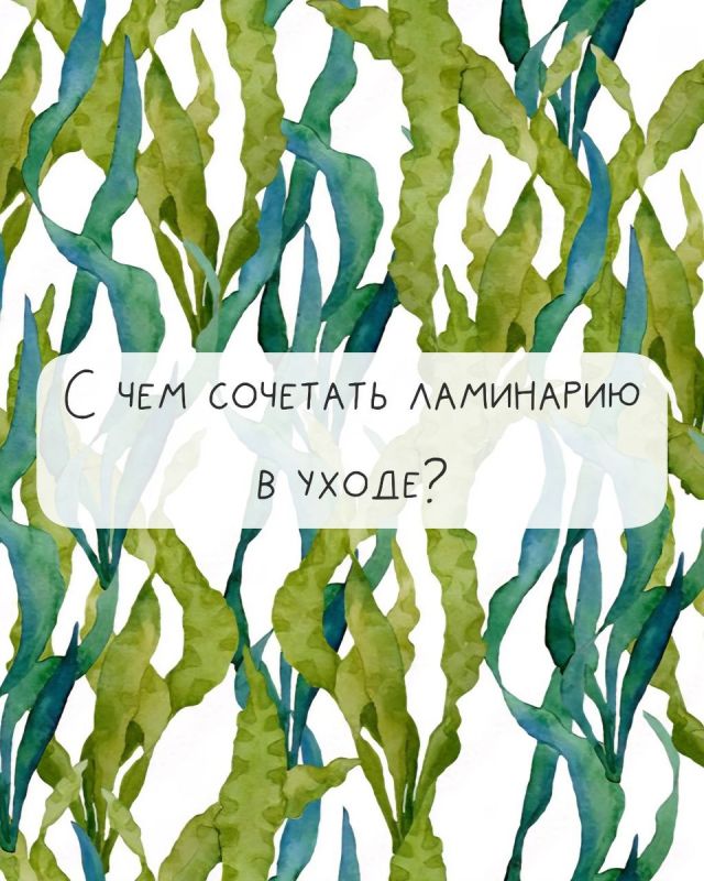 Ламинария: морская чудо-водоросль для идеальной кожи