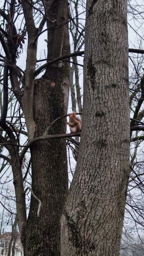    .      +1 +8 C.  2-3 /