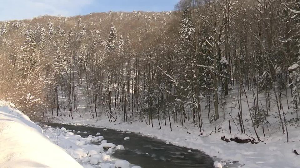 Доброе утро, Адыгея!. Погода в республике сегодня, 5 декабря