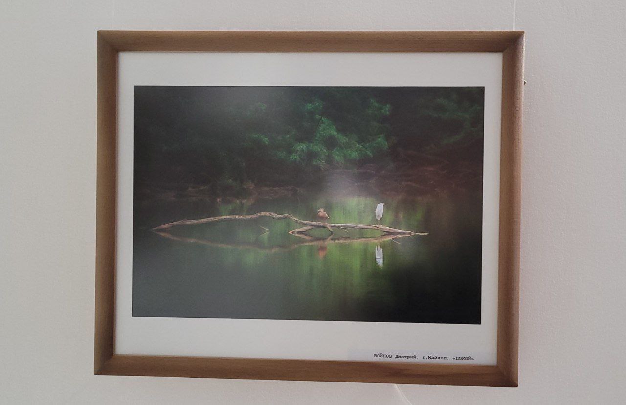 В Майкопе открылась фотовыставка «Мой любимый край» В Майкопе открылась фотовыставка «Мой любимый край»