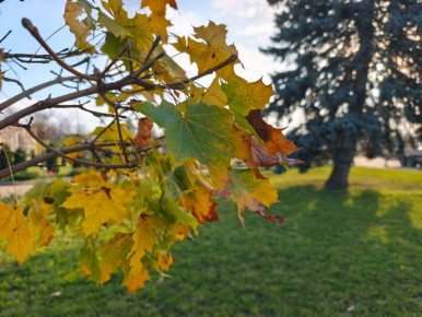    .      +1 +7 C.  1  3 /