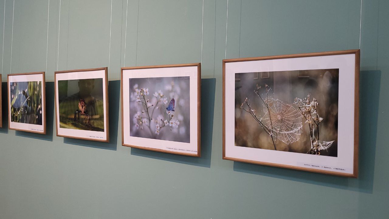 В Майкопе открылась фотовыставка «Мой любимый край» В Майкопе открылась фотовыставка «Мой любимый край»