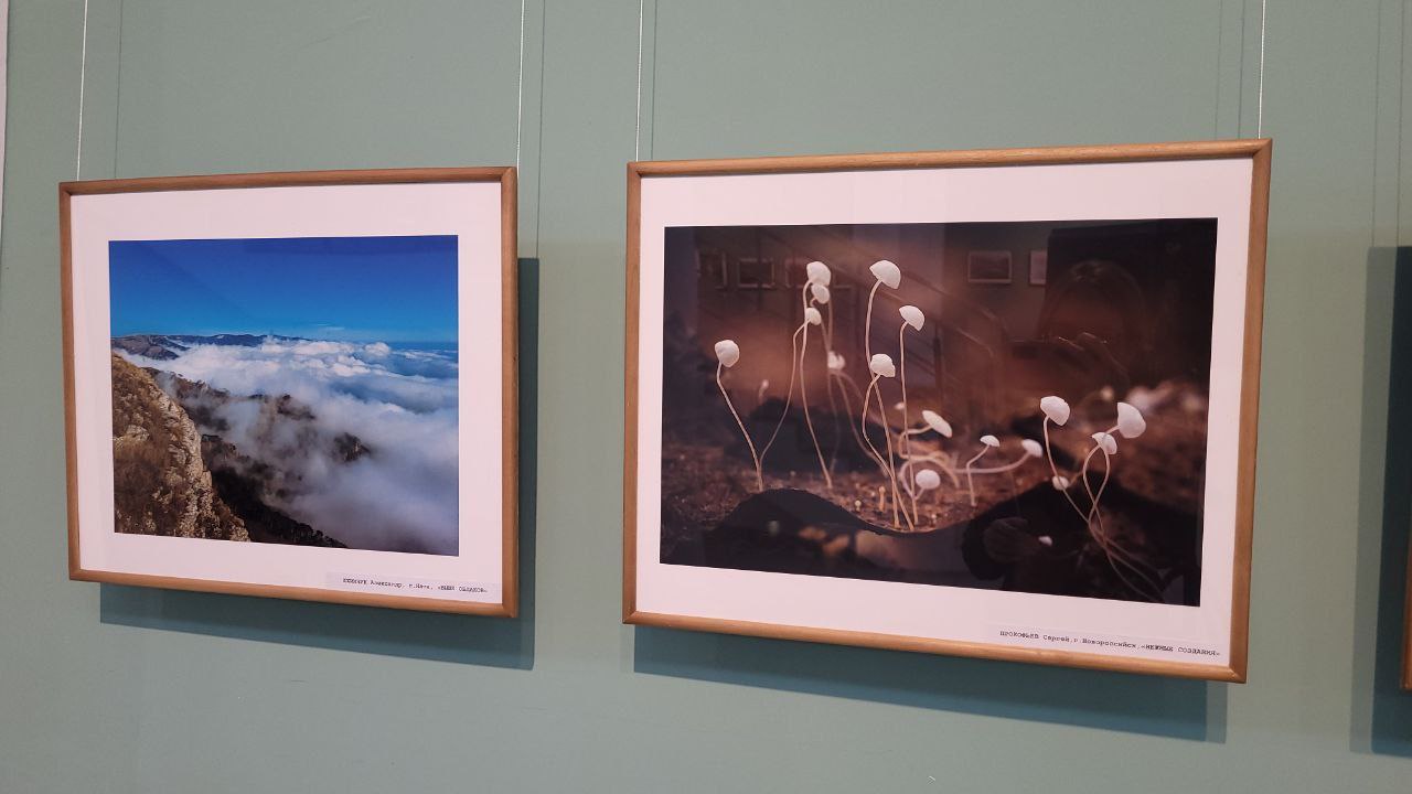 В Майкопе открылась фотовыставка «Мой любимый край» В Майкопе открылась фотовыставка «Мой любимый край»