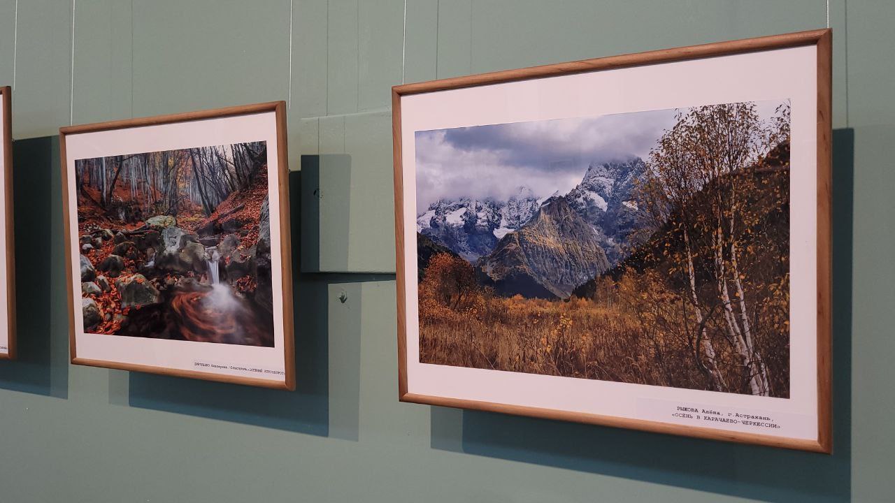 В Майкопе открылась фотовыставка «Мой любимый край» В Майкопе открылась фотовыставка «Мой любимый край»