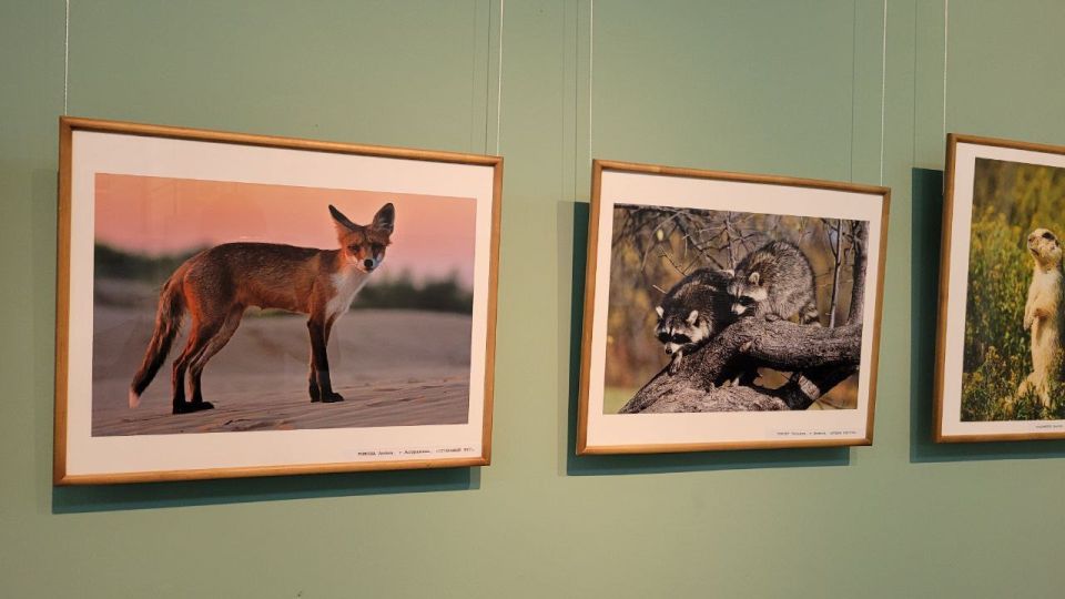 В Майкопе открылась фотовыставка «Мой любимый край»