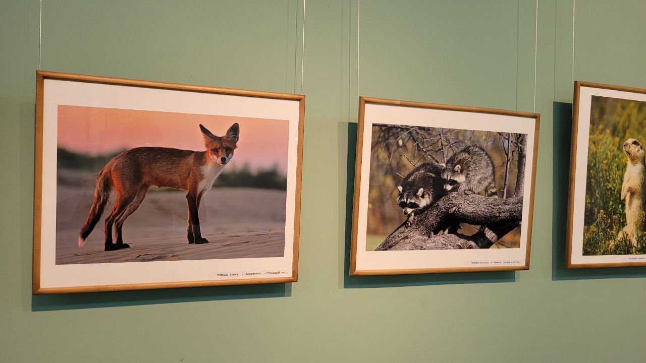 В Майкопе открылась фотовыставка «Мой любимый край»