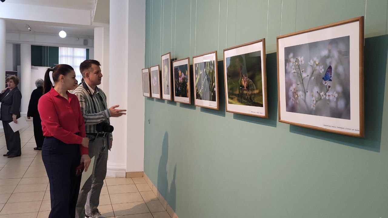 В Майкопе открылась фотовыставка «Мой любимый край» В Майкопе открылась фотовыставка «Мой любимый край»