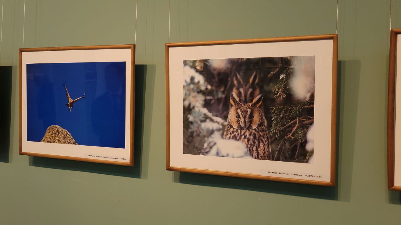 В Майкопе открылась фотовыставка «Мой любимый край» В Майкопе открылась фотовыставка «Мой любимый край»