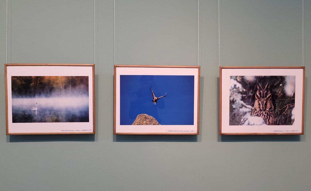 В Майкопе открылась фотовыставка «Мой любимый край» В Майкопе открылась фотовыставка «Мой любимый край»