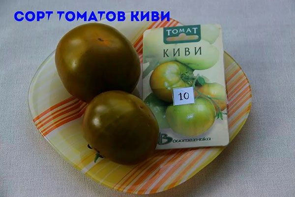 Томаты Киви: что нужно знать о новом фаворите на огородах