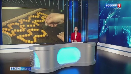 Зарета Худжикова, проработав больше 10 лет в банковской сфере, круто поменяла жизнь