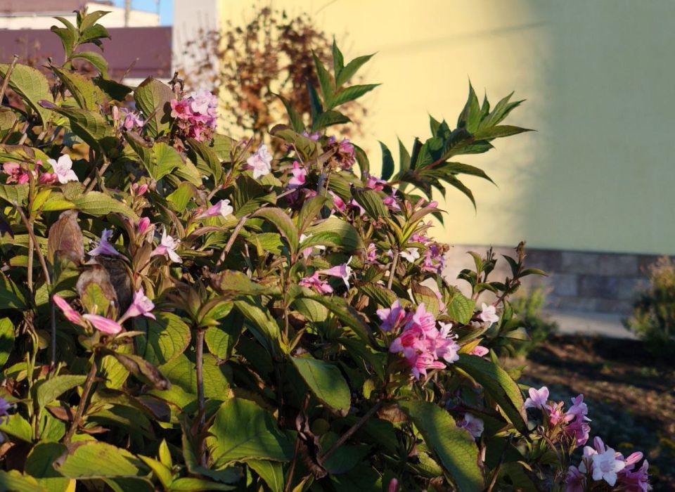 ������ �����. ��������� ����� ��������� ����