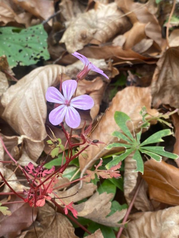 ������. 7 �������