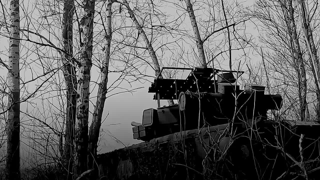 Твое призвание – защищать!